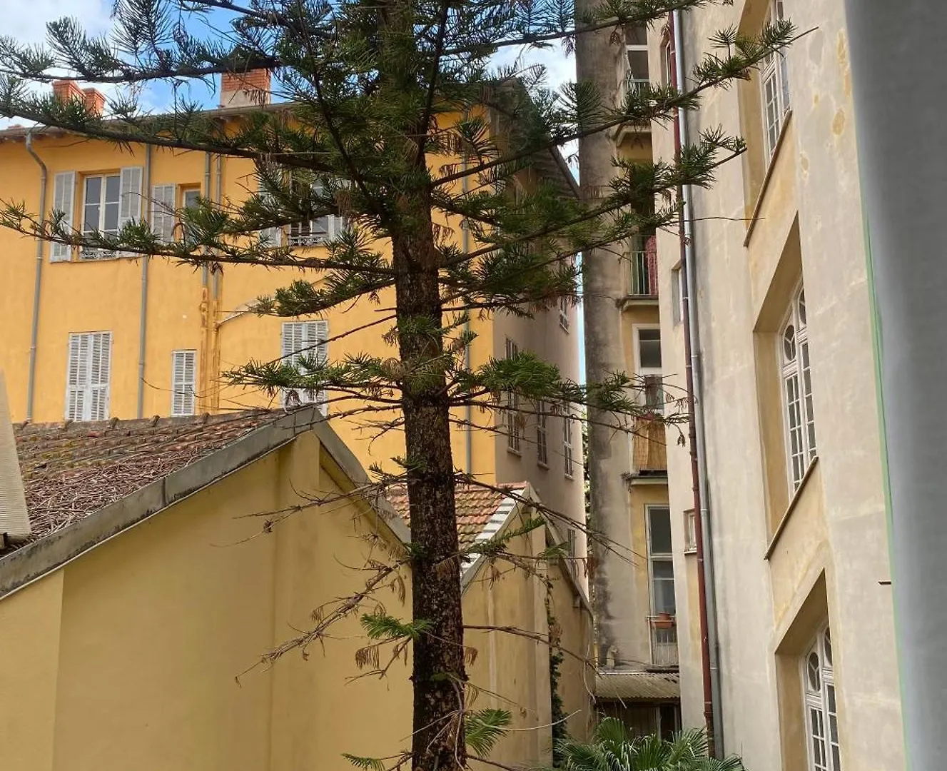 Au Coin Du Pin Apartment Menton